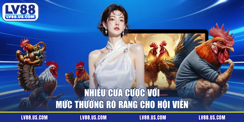 Nhiều cửa cược với mức thưởng rõ ràng cho hội viên